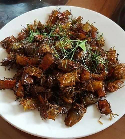 Món bọ xít rang với nước măng chua thách thức  tín đồ đam mê ẩm thực