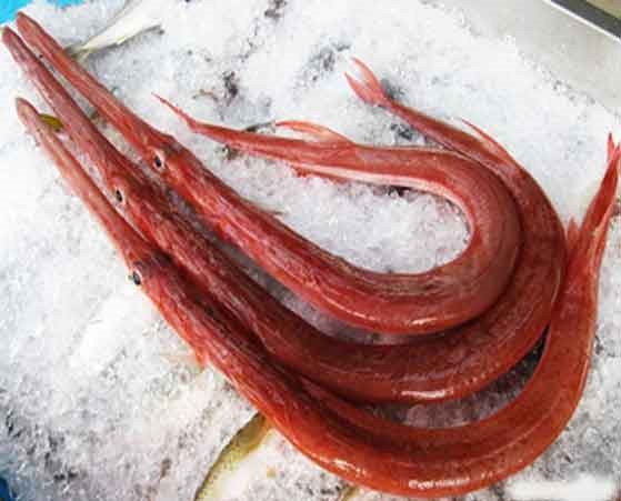 Cá Tào Lao Quảng Ngãi Món Ngon Bạn Không Nên Bỏ Qua » Thế Giới Ẩm Thực