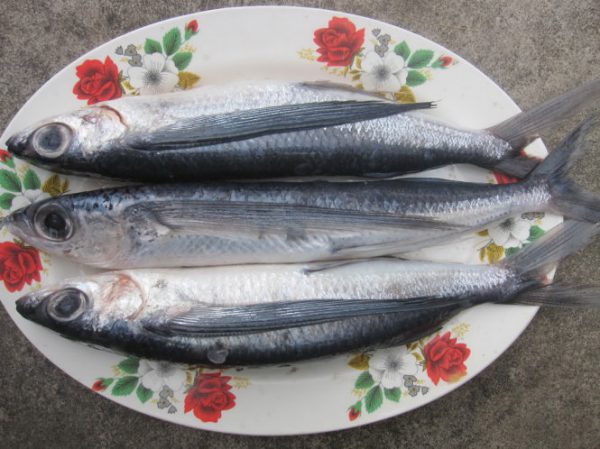 Món cá chuồn kho với mít non của người dân Quảng Nam » Thế Giới Ẩm Thực