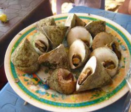 Món ăn từ ốc vú nàng ngon của Hội An Quảng Nam