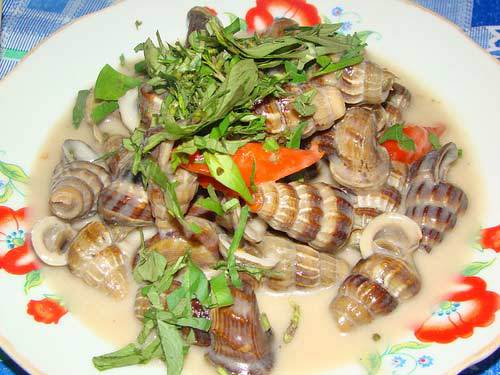 Món ốc len hầm dừa Bạc Liêu mang hương vị riêng 