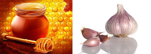 Củ tỏi và mật ong