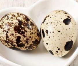 Lợi ích của trứng cút với sức khỏe bạn nên biết
