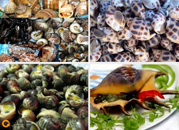 Ốc chứa nhiều chất dinh dưỡng tốt cho sức khỏe