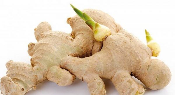 Gừng mọc mầm không nên ăn