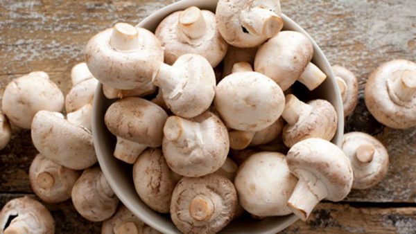 Bảo quản nấm mỡ