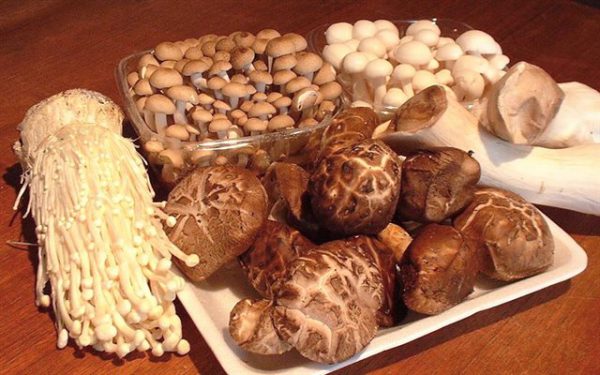 Cách bảo quản các loại nấm đơn giản tại nhà