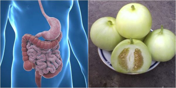 Hạt dưa lê giúp hỗ trợ đường ruột: