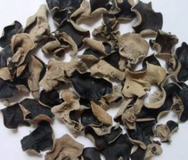 Lợi ích của nấm mèo đối với sức khỏe