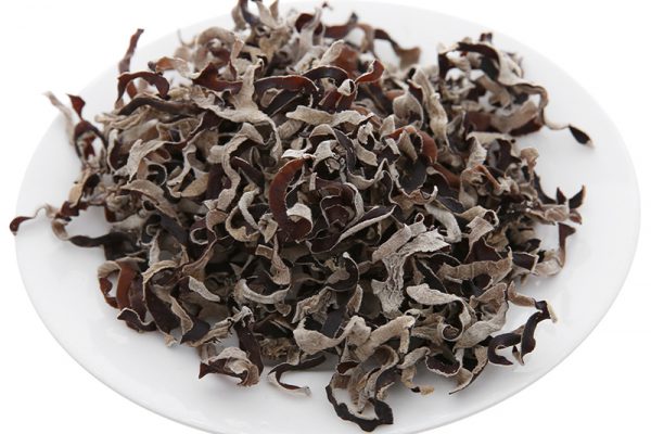 Nấm mèo giúp tăng cường sức khỏe đường ruột