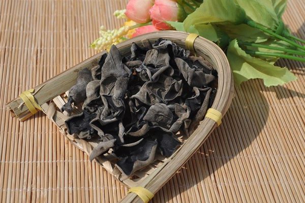 Ngăn ngừa sa sút trí tuệ và bệnh Alzheimer từ nấm mèo