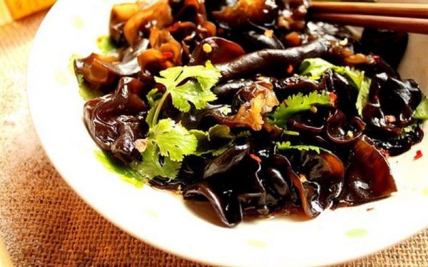Nấm mèo giúp ngăn ngừa nhiễm trùng