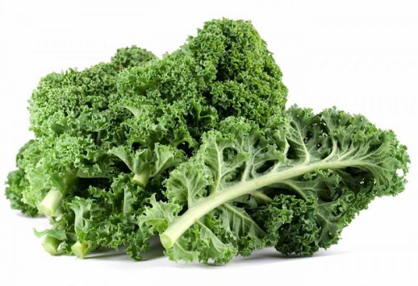 Cải xoăn cực tốt cho sức khỏe