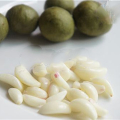 Chuẩn bị phần sấu và tỏi