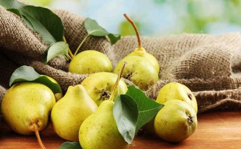 Quả lê tốt cho phổi