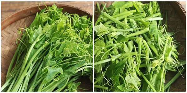 Sơ chế các nguyên liệu