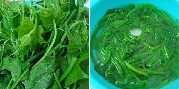 Chế biến ngọn su su