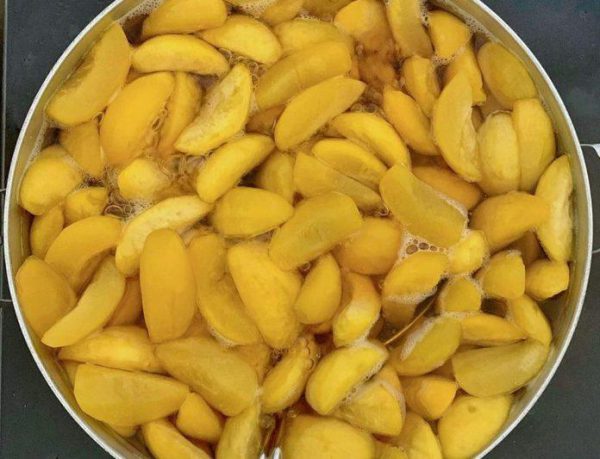 Đào cắt miếng nhỏ rồi cho đường vào đun cho đường tan chảy