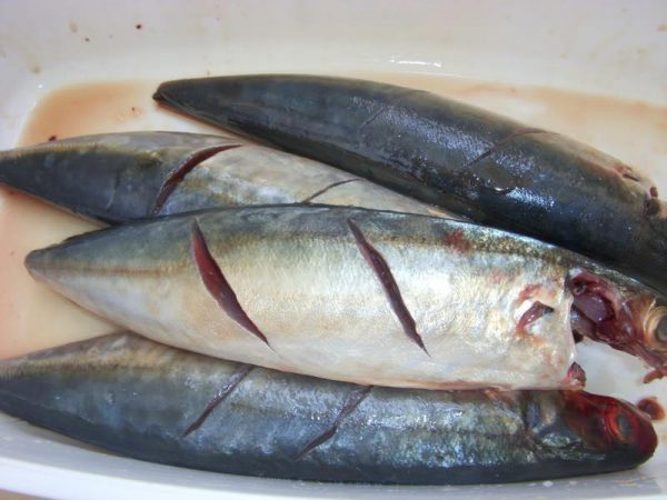 Sơ chế cá