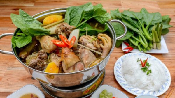 Thưởng thức lẩu gà nòi