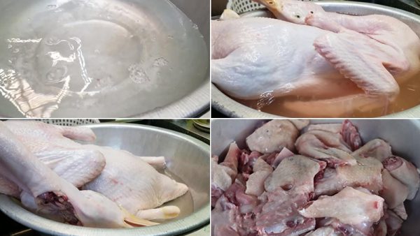 Sơ chế vịt