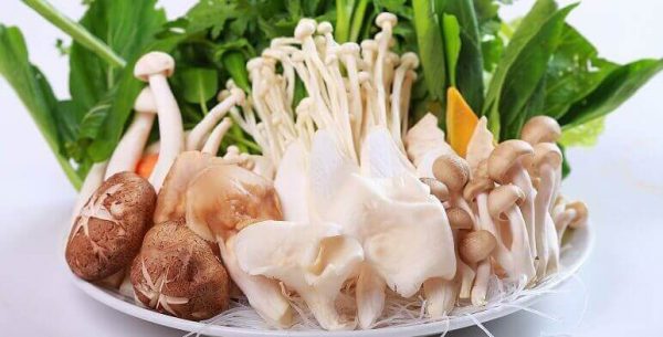 Các loại nấm đem rửa sạch