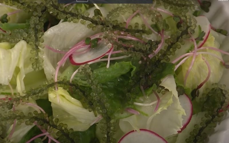 Xếp salad lên đĩa