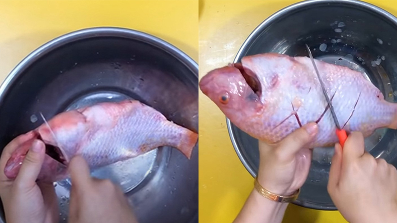 Sơ chế cá diêu hồng