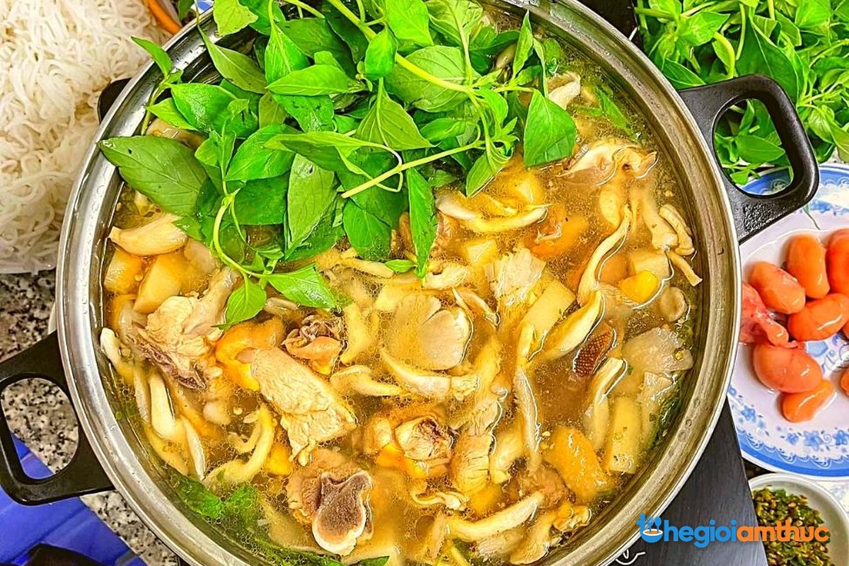 Lẩu gà lá é đặc sản Đắk Lắk vùng Phú Yên